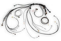 Haltech Nexus Rebel LS Main Terminated Harness - HT-186500