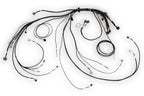 Haltech Nexus Rebel LS Main Terminated Harness - HT-186500