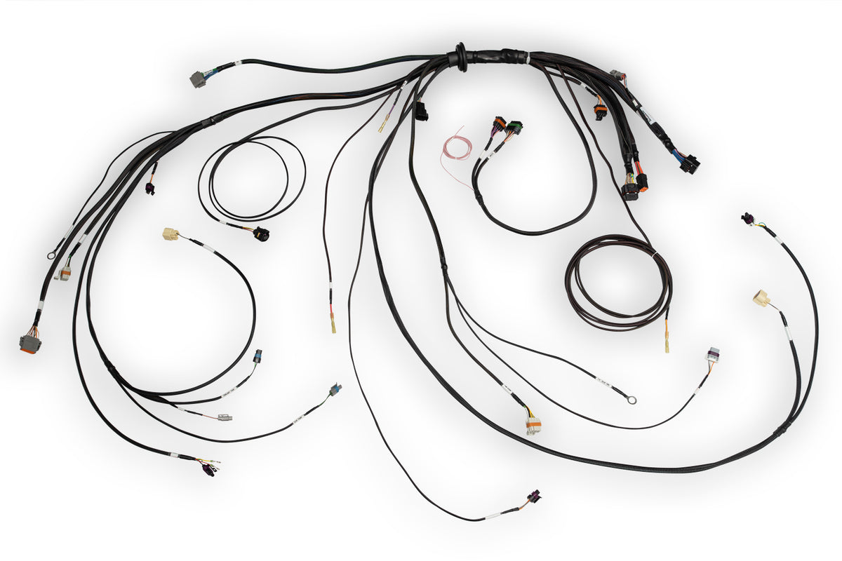 Haltech Nexus Rebel LS Main Terminated Harness - HT-186500