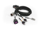 Haltech Nexus Plug-in ECU Expansion Harness - official Haltech product image 2