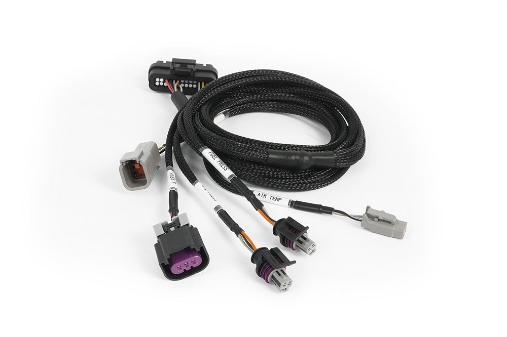 Haltech Nexus Plug-in ECU Expansion Harness - official Haltech product image 2