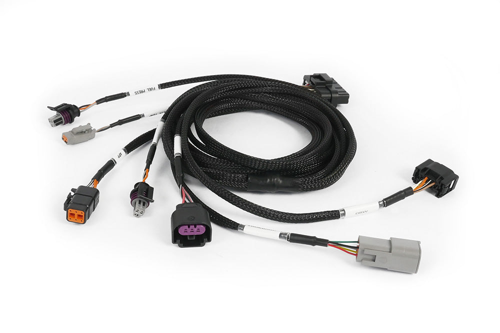 Haltech Nexus Plug-in ECU Expansion Harness - official Haltech product image 3