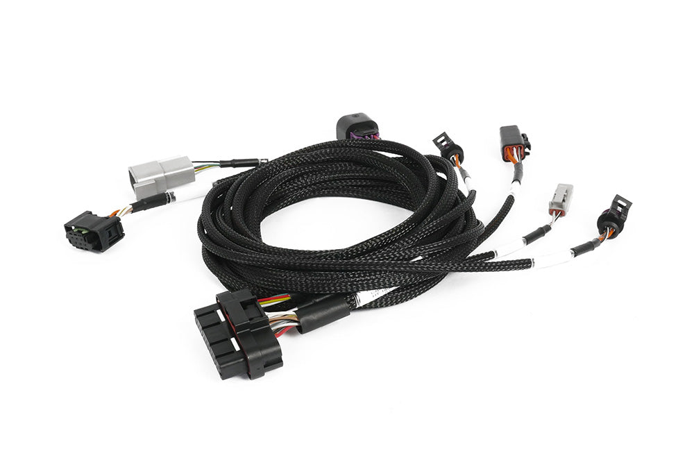 Haltech Nexus Plug-in ECU Expansion Harness - official Haltech product image 4