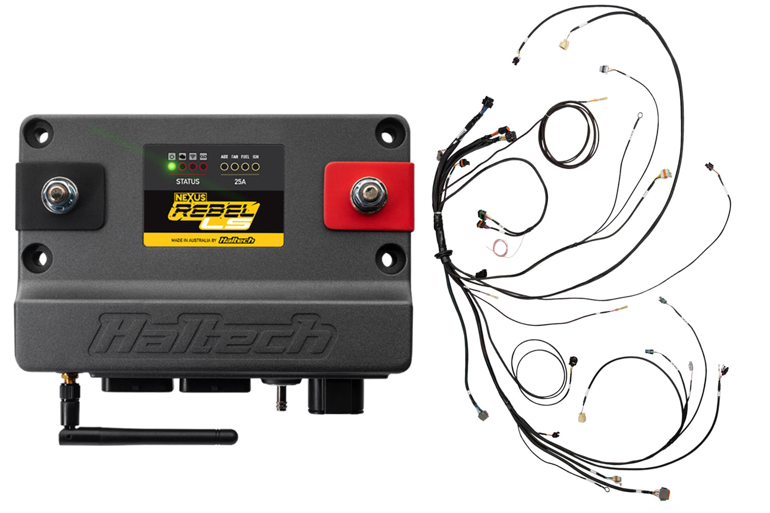 Haltech Rebel LS Kit - Suits Gen III - Cable throttle, EV1, Manual Transmission - HT-220201