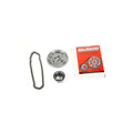 Rollmaster Timing Chain | LS2