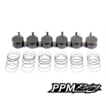 PPM Ford XR6 AU 4.0L Forged Pistons