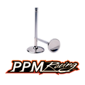 PPM BMW E9X M3 S65B40 V8 Racing Valve Kit