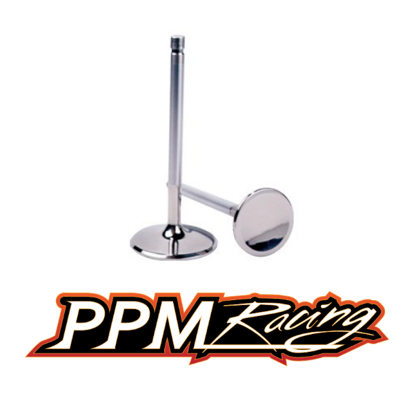 PPM BMW E9X M3 S65B40 V8 Racing Valve Kit