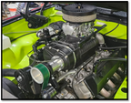 Holden 5.0L with Yella Terra Whipple 3.4L radial supercharger installed