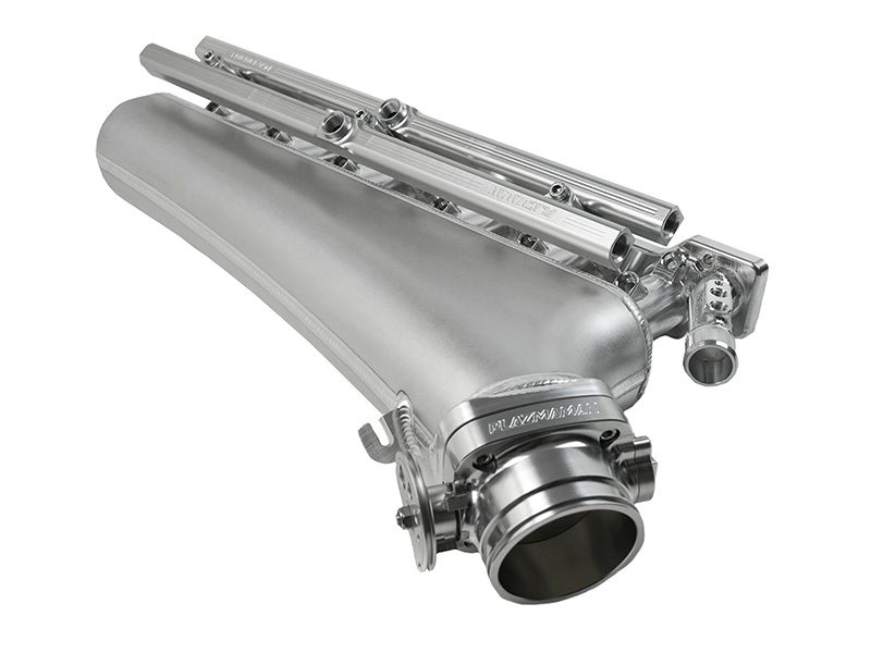 Plazmaman RB30 single cam 12 injector twin rail manifold; photographed configuration and finish are examples