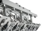 Plazmaman RB30 single cam 12 injector twin rail manifold; photographed configuration and finish are examples