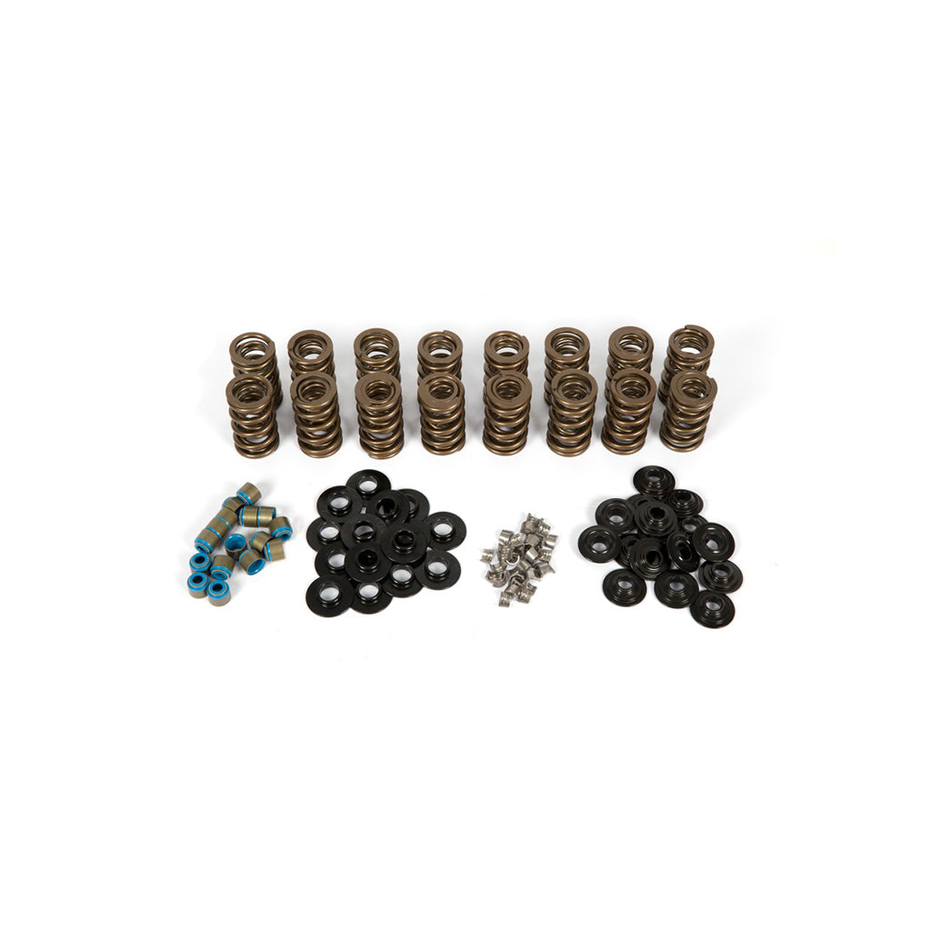 Harrop Valve Spring Kit PAC11905 | GM LS V8